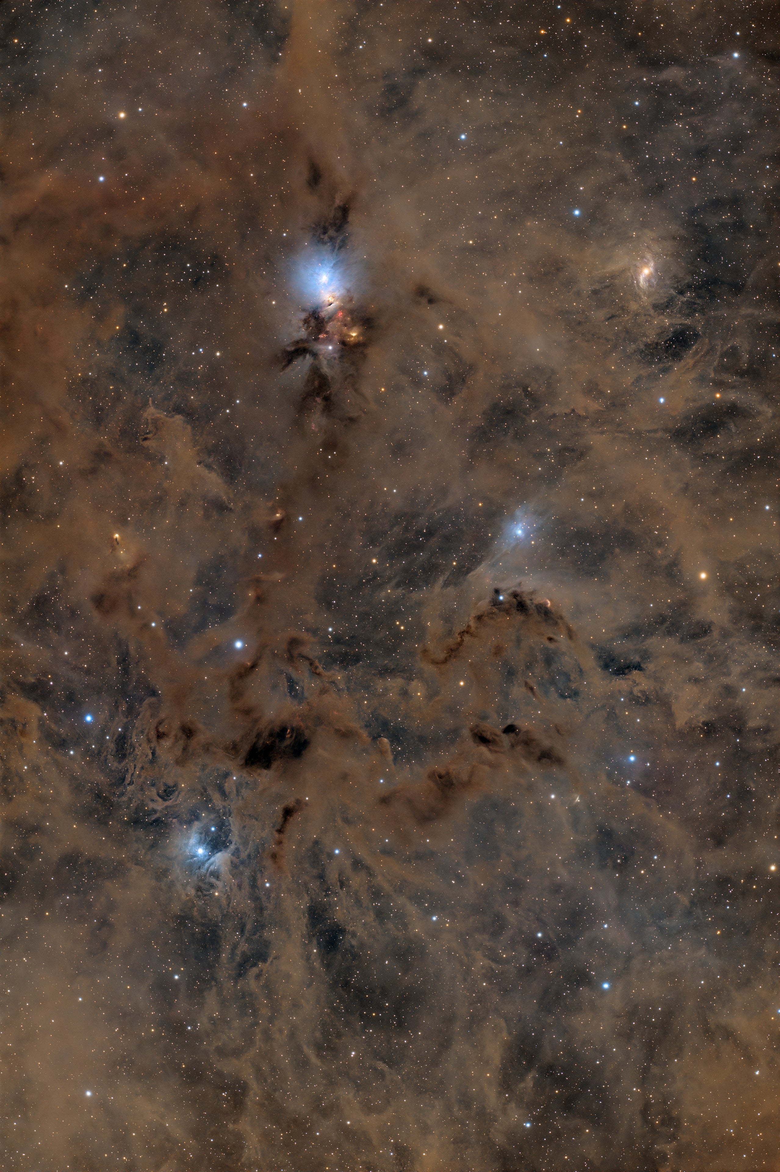 Askar SQA85 - sample image: Veil Nebula, SQA85 + ToupTek 2600c