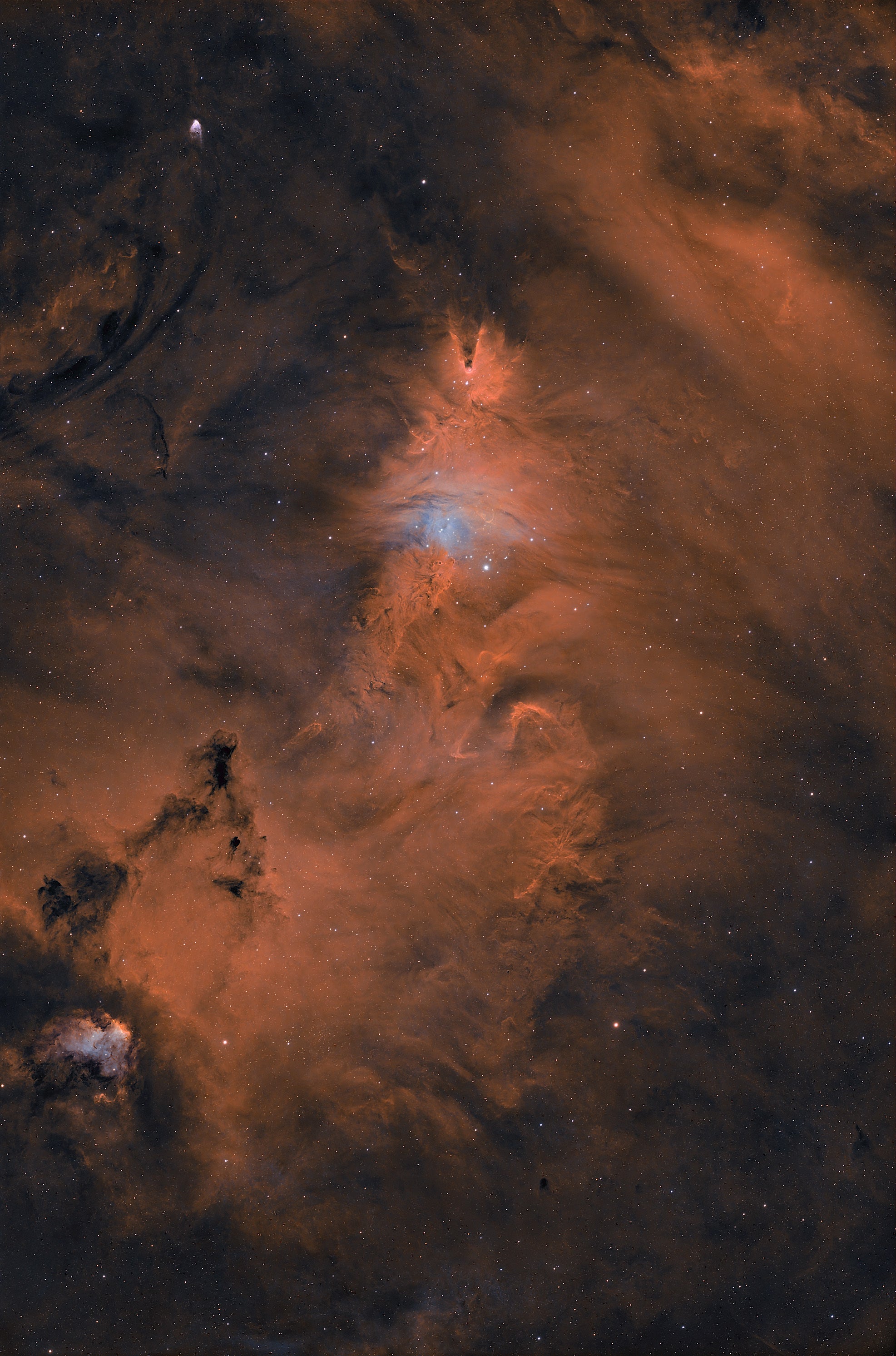 Askar SQA85 - sample image: NGC2264 Christmas Tree Cluster, SQA85 + ZWO ASI2600