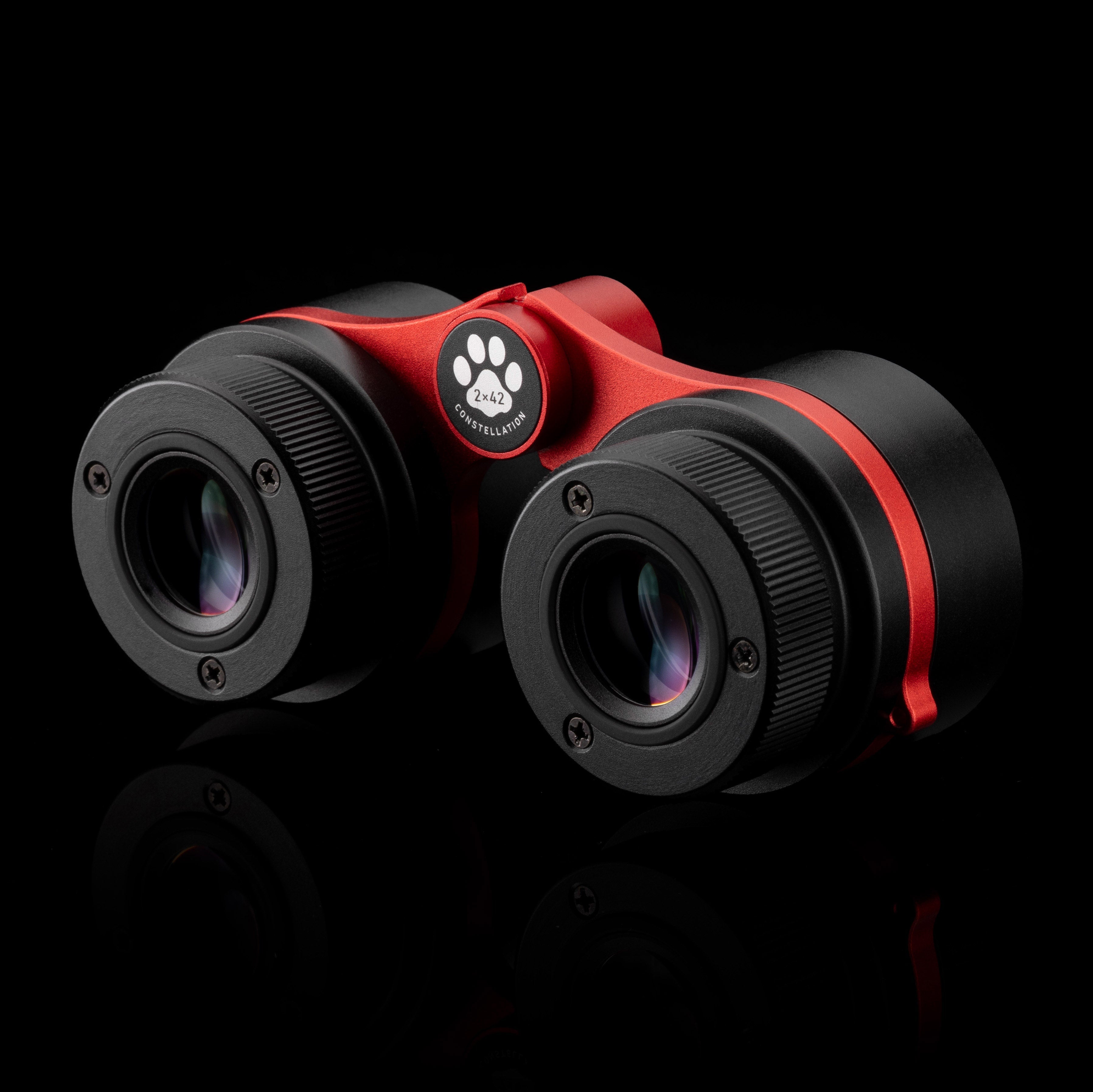 William Optics Cat Eyes 2x42 binoculars - lifestyle use view for stargazing and events