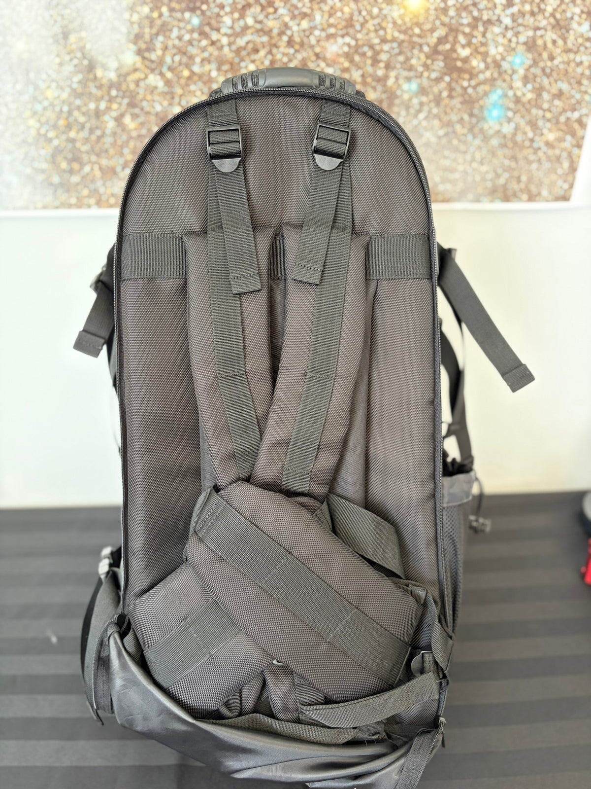 Orion Padded Camera Backpack – Used (Very Good)