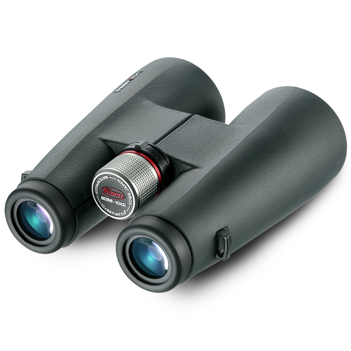 Kowa BD56 10x56 XD binocular rear view - eyepieces and focus wheel