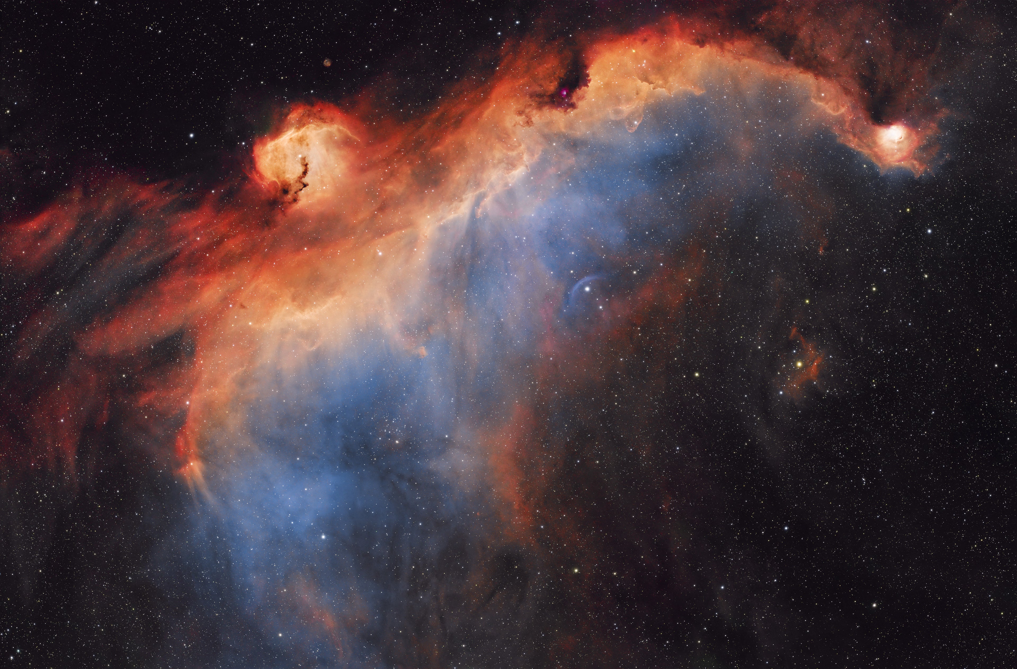 Askar SQA85 - sample image: Tim Henderson, Seagull Nebula in SHO, SQA85 + ZWO ASI2600MC AIR