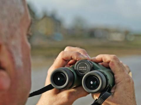 Kowa SV II 8x42 Binocular