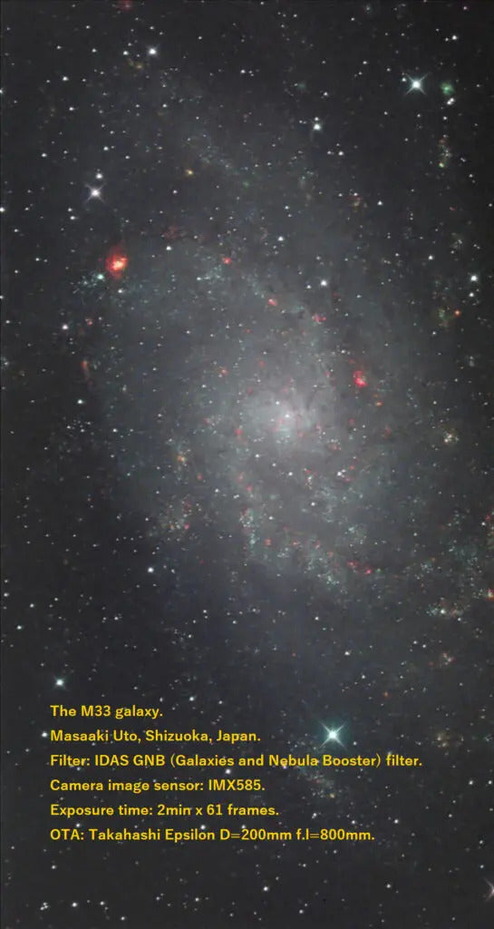 IDAS GNB Filter 1.25"