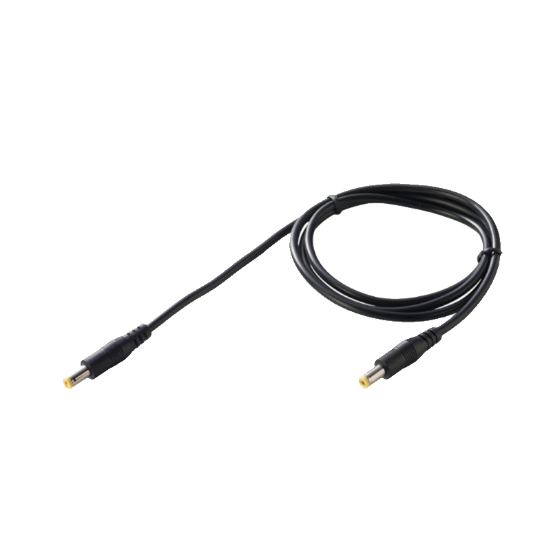 Pegasus Astro Pack of 2 x 2.1 to 2.5 Cables