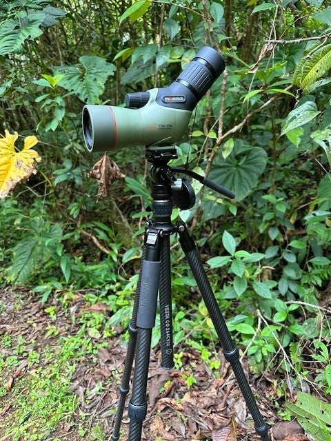 Kowa Vanguard VESTA GO 264CV12 carbon fiber tripod set up with a Kowa spotting scope in the field for birding and wildlife observation