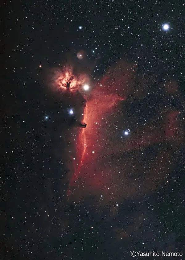 Sightron Quad BP III Filter