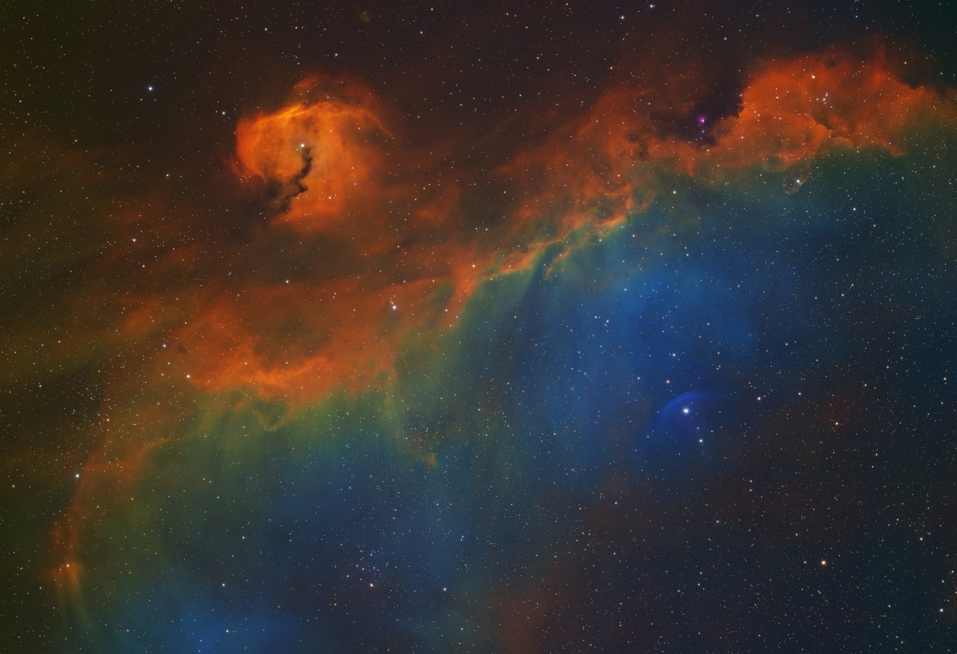 Askar SQA130 - sample image: NGC2327 Seagull Nebula, SQA130 + ZWO ASI2600MM