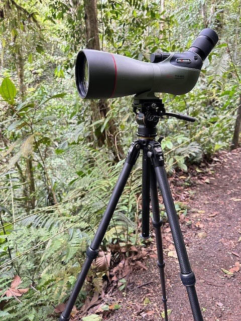 Kowa Vanguard VEO 5 264CV14 carbon fiber tripod set up with a Kowa spotting scope in the field for long-range observation