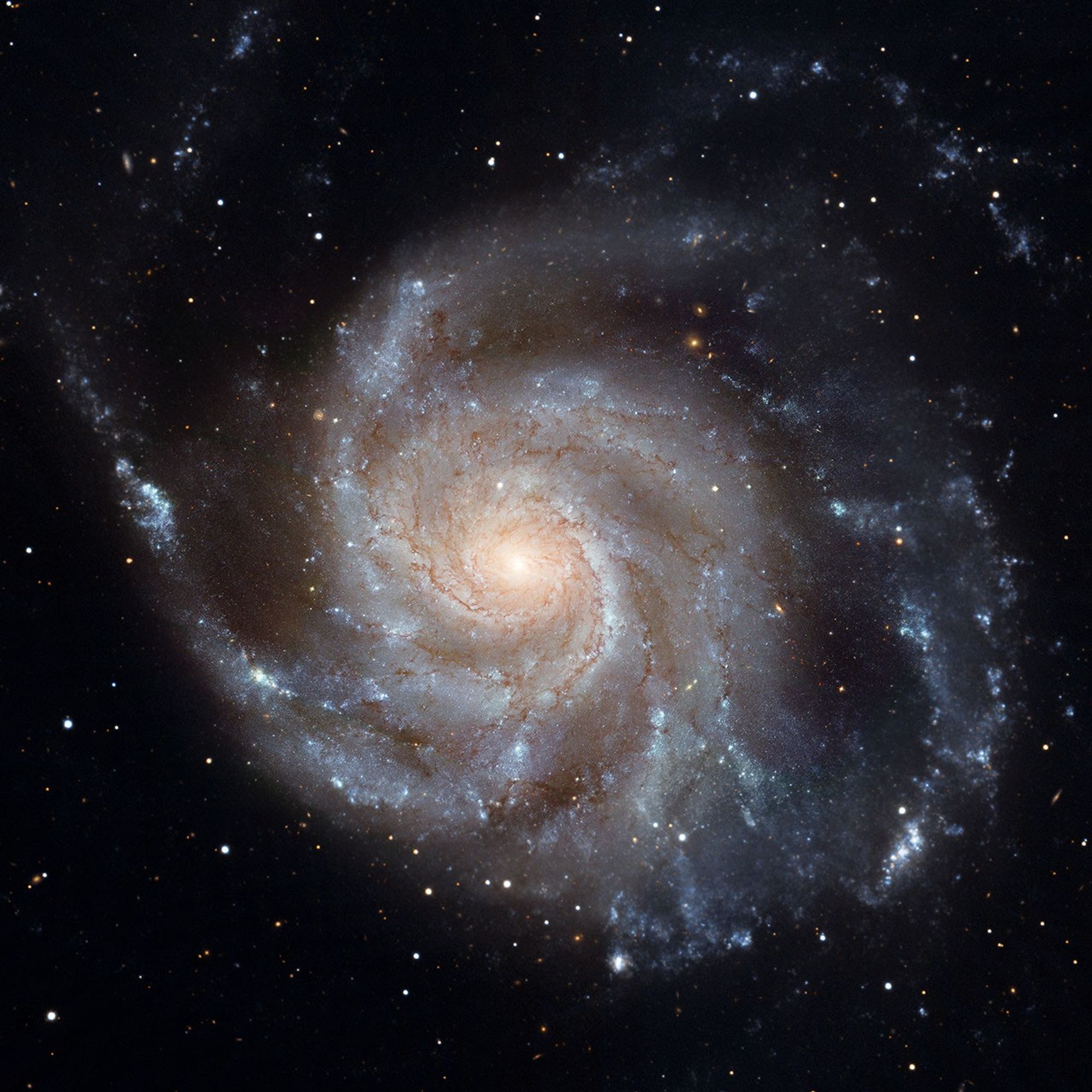 M101 The Pinwheel Galaxy 