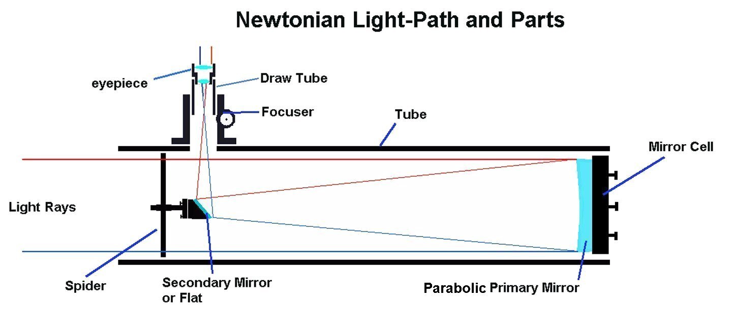 newtonina.jpg